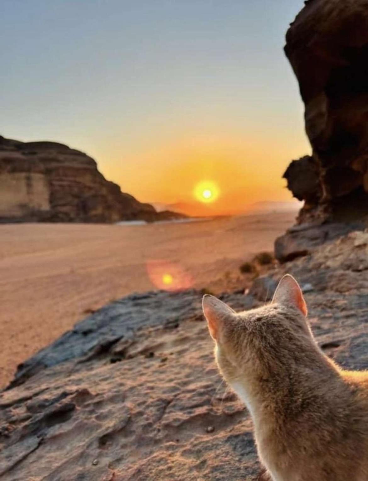 Wadi Rum Nature Exterior foto